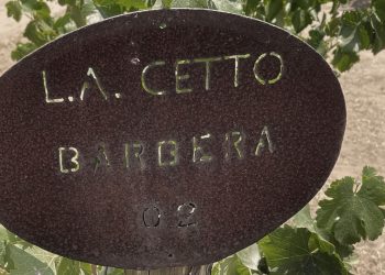 DESPALILLADORA CETTO