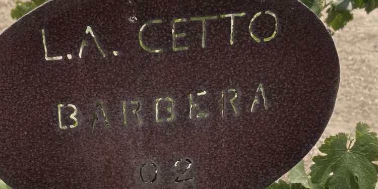 DESPALILLADORA CETTO